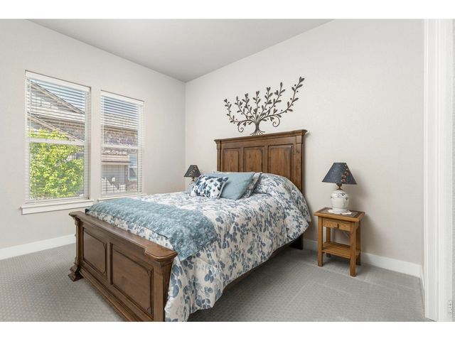 6241 Vernazza Way 1, Windsor, CO 80550