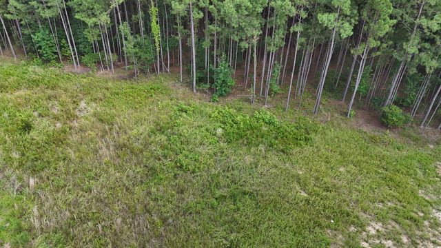 TBD lot 4-C Dossies Rd., Conway, SC 29526