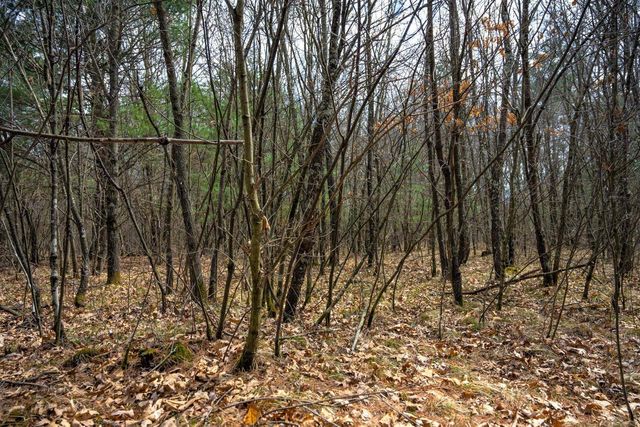 Lot 254 Dakota Junction, Friendship, WI 53934