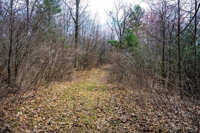 Lot 254 Dakota Junction, Friendship, WI 53934