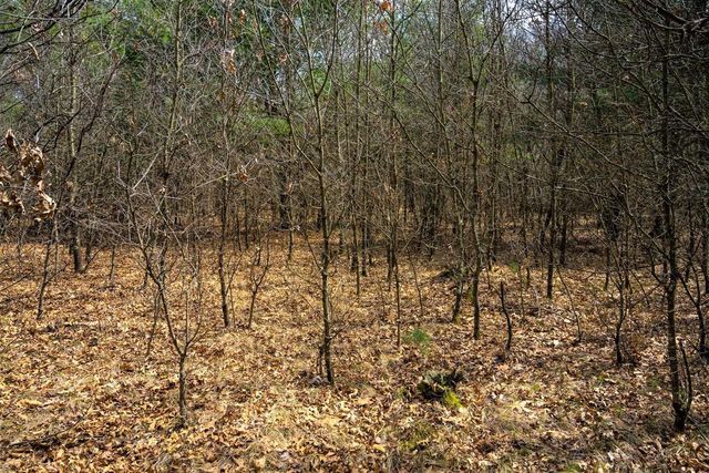 Lot 254 Dakota Junction, Friendship, WI 53934