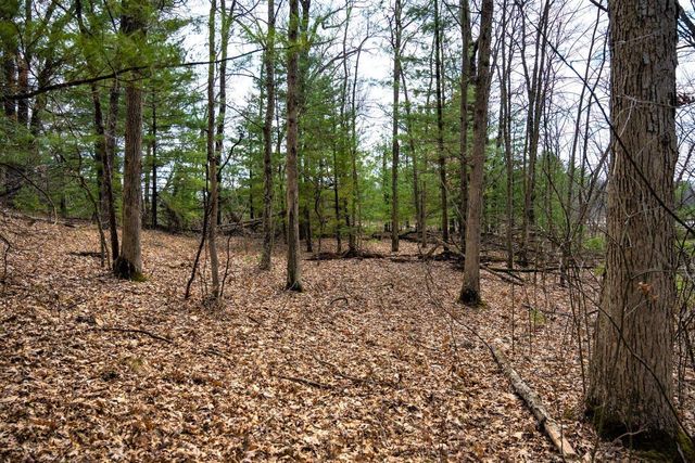 Lot 254 Dakota Junction, Friendship, WI 53934