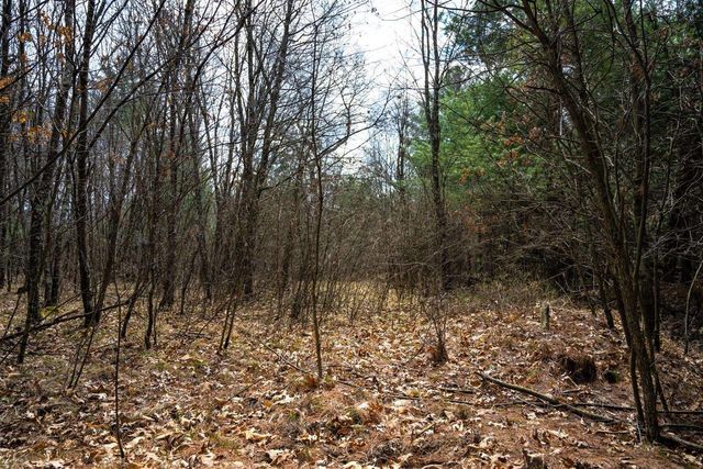 Lot 254 Dakota Junction, Friendship, WI 53934