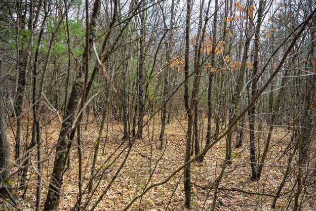 Lot 254 Dakota Junction, Friendship, WI 53934