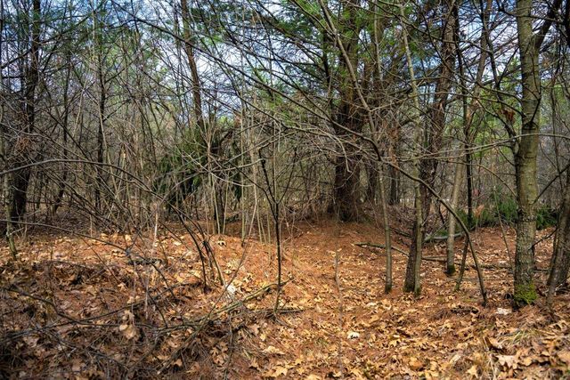 Lot 254 Dakota Junction, Friendship, WI 53934