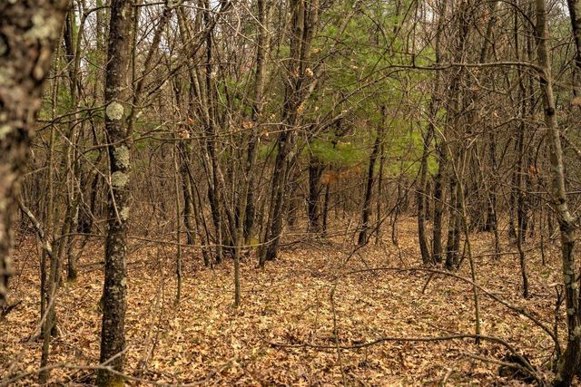 Lot 254 Dakota Junction, Friendship, WI 53934