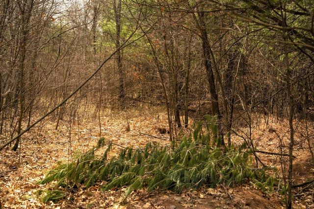 Lot 254 Dakota Junction, Friendship, WI 53934