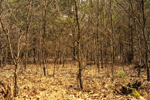 Lot 254 Dakota Junction, Friendship, WI 53934