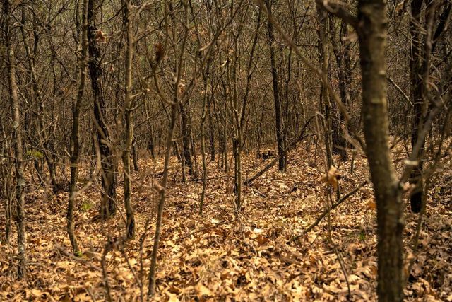 Lot 254 Dakota Junction, Friendship, WI 53934