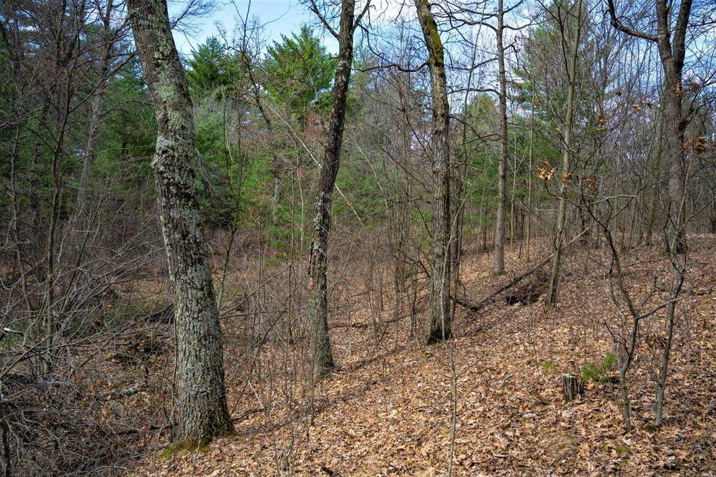 Lot 254 Dakota Junction, Friendship, WI 53934