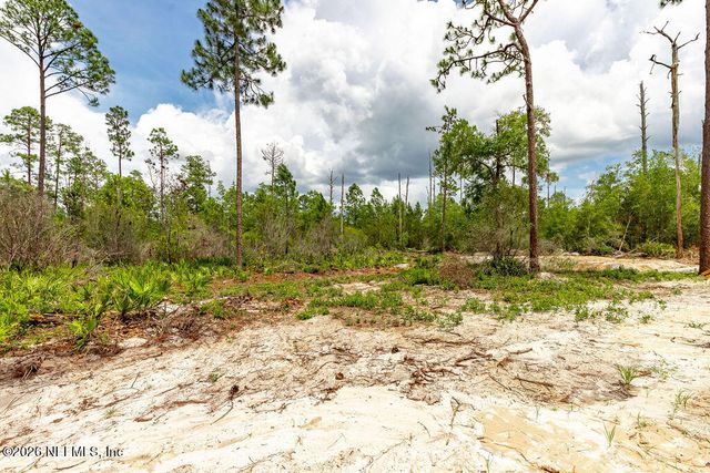 230 REDEYE Road, Florahome, FL 32140