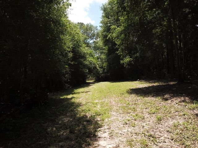 9.57 Acres Hwy 69 N, Woodville, TX 75979