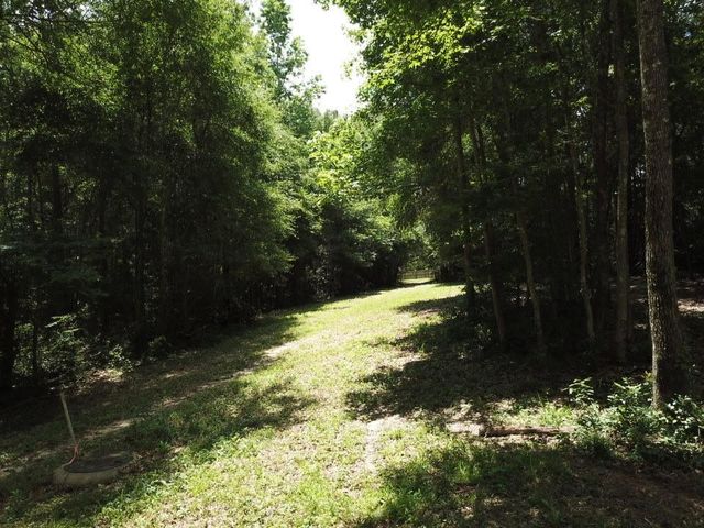 9.57 Acres Hwy 69 N, Woodville, TX 75979