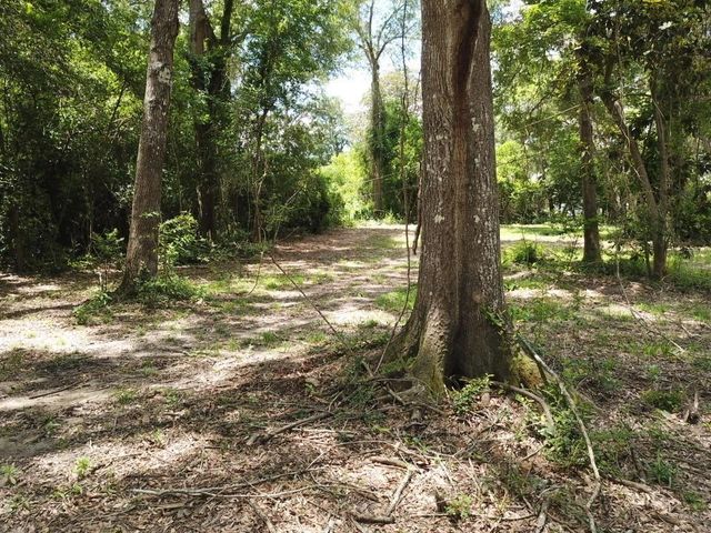 9.57 Acres Hwy 69 N, Woodville, TX 75979