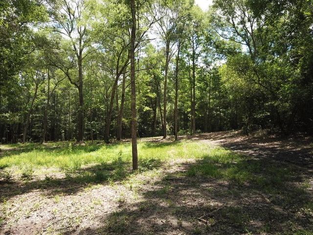 9.57 Acres Hwy 69 N, Woodville, TX 75979