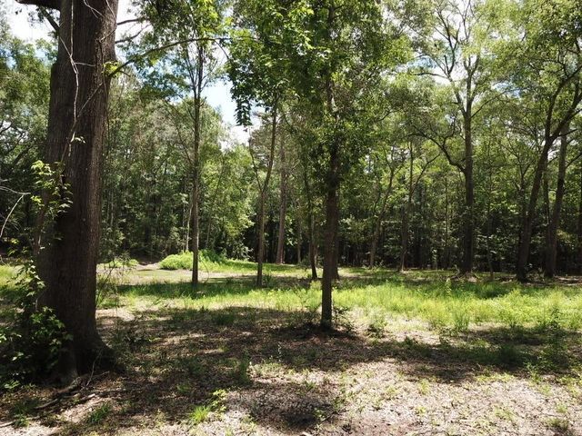 9.57 Acres Hwy 69 N, Woodville, TX 75979