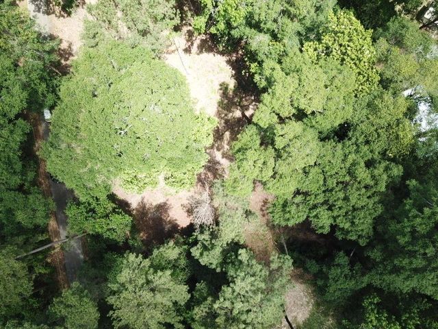 9.57 Acres Hwy 69 N, Woodville, TX 75979