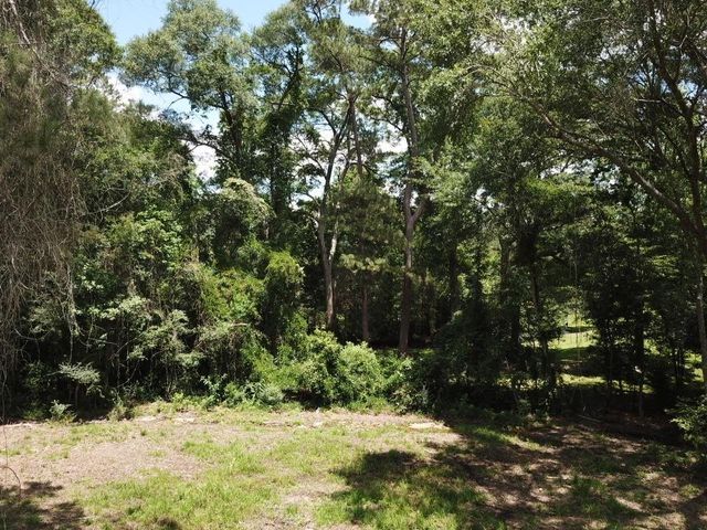 9.57 Acres Hwy 69 N, Woodville, TX 75979