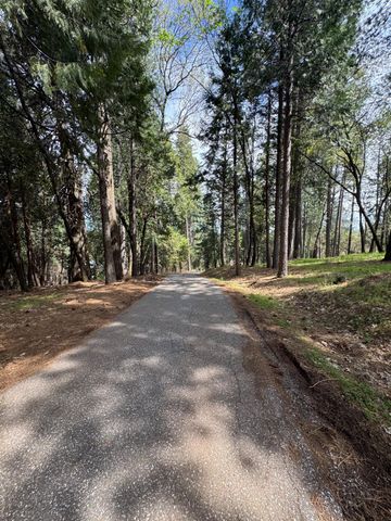 14551 Cattail Ln, Grass Valley, CA 95945