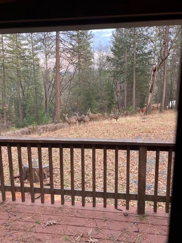 14551 Cattail Ln, Grass Valley, CA 95945