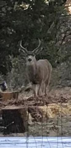 14551 Cattail Ln, Grass Valley, CA 95945