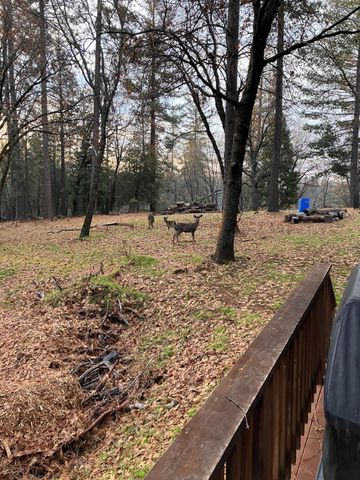 14551 Cattail Ln, Grass Valley, CA 95945