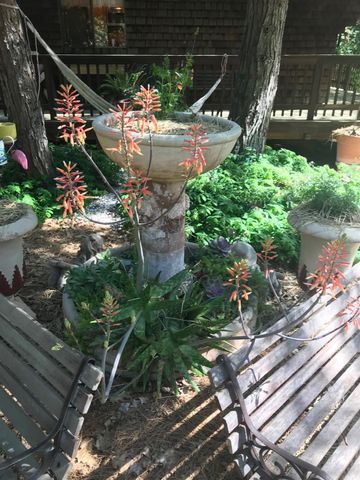 14551 Cattail Ln, Grass Valley, CA 95945