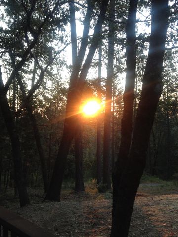 14551 Cattail Ln, Grass Valley, CA 95945