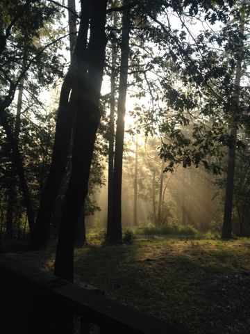 14551 Cattail Ln, Grass Valley, CA 95945