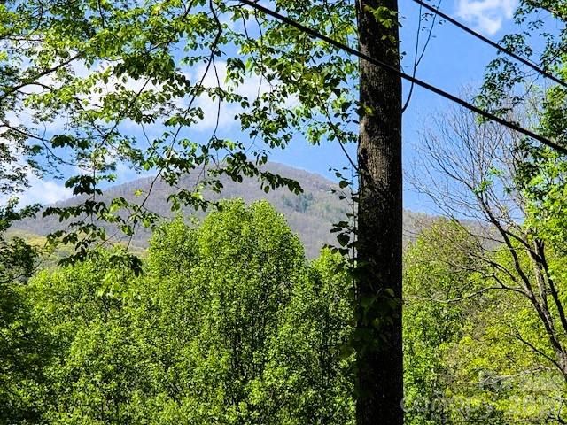 191 Forest Drive, Maggie Valley, NC 28751