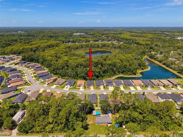 11515 WEAVER HOLLOW ROAD, New Port Richey, FL 34654