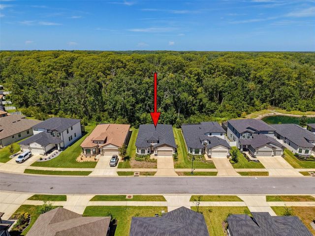 11515 WEAVER HOLLOW ROAD, New Port Richey, FL 34654