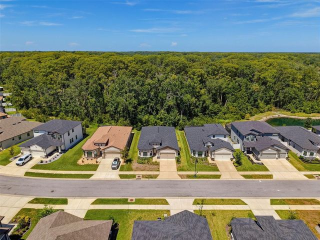 11515 WEAVER HOLLOW ROAD, New Port Richey, FL 34654