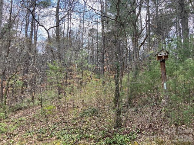 23 Old Farm School Road, Asheville, NC 28805