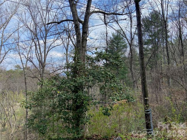 23 Old Farm School Road, Asheville, NC 28805