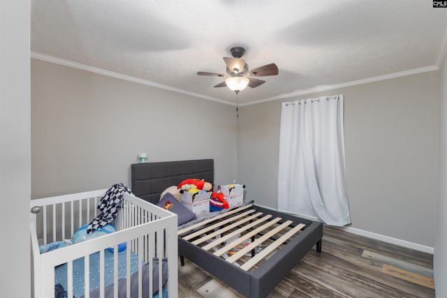 365 Tindal Road, Pelion, SC 29123