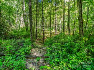 TBD Climbing Road, Hendersonville, NC 28792