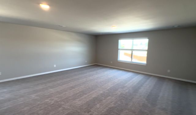 19239 Trinity Terrace Lane, Spring, TX 77379