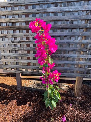 1909 Francisco Way, Richmond, CA 94805