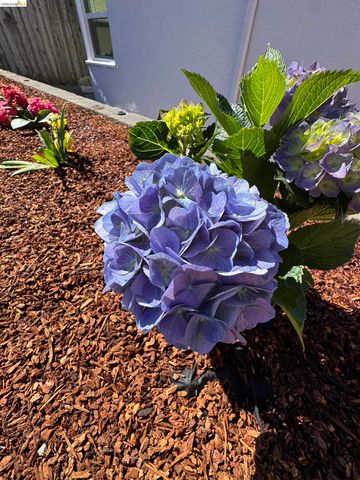 1909 Francisco Way, Richmond, CA 94805