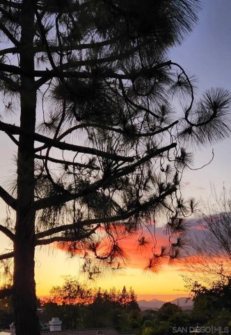 2617 LOBELIA RD, Alpine, CA 91901