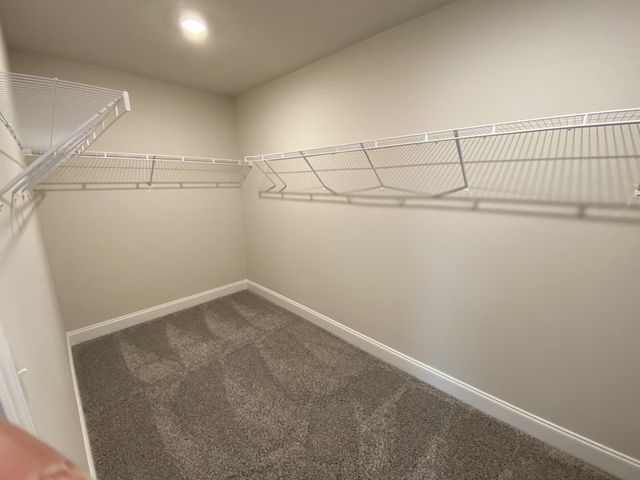 356 Wiregrass Ln, Columbia, TN 38401