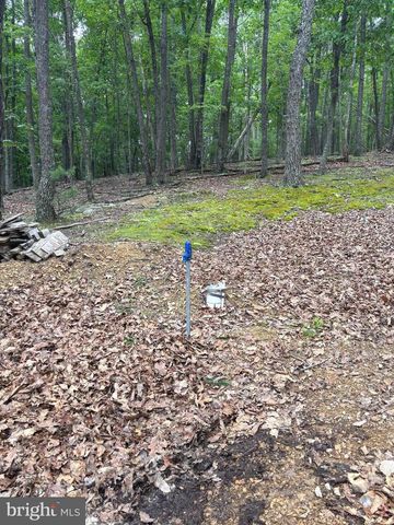 CEDARWOOD, Mathias, WV 26812