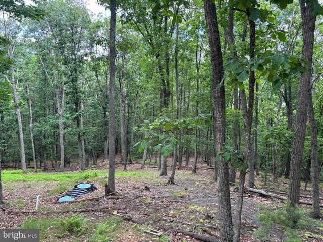 CEDARWOOD, Mathias, WV 26812