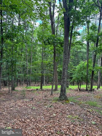 CEDARWOOD, Mathias, WV 26812