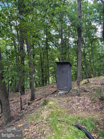 CEDARWOOD, Mathias, WV 26812