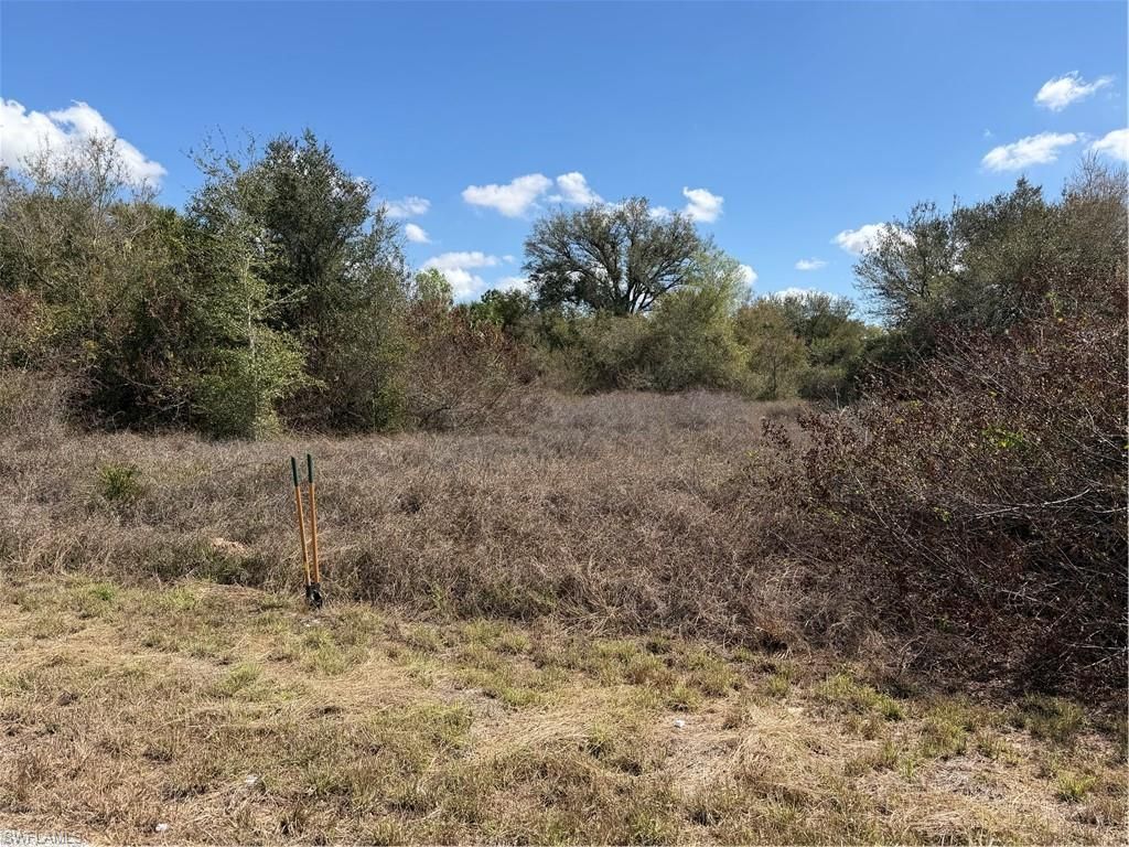 1704 Abbott AVE, LEHIGH ACRES, FL 33972 — photo 5