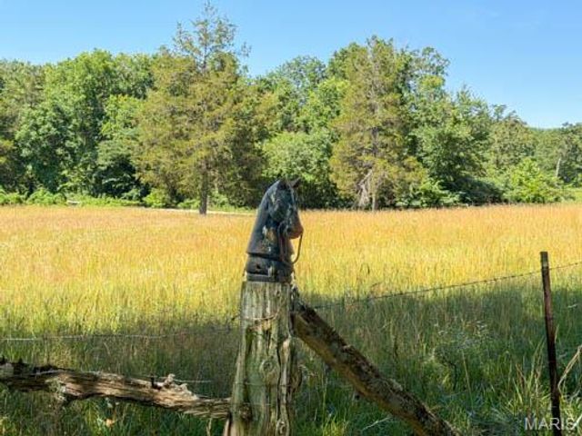 11577 Radio Station Rd, Cadet, MO 63630