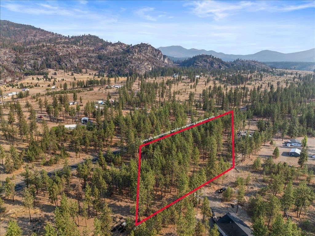 7263 TBD Highway 291 Hwy, Tumtum, WA 99013