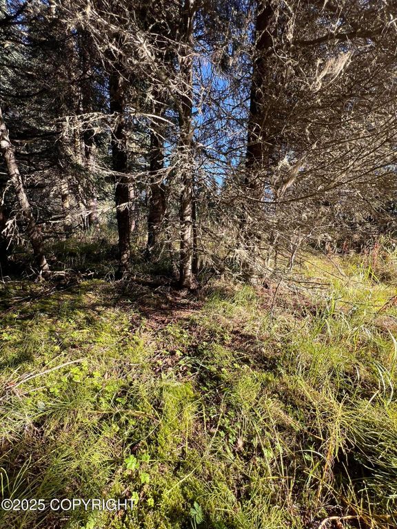 L10 Shegota Loop, Ninilchik, AK 99639